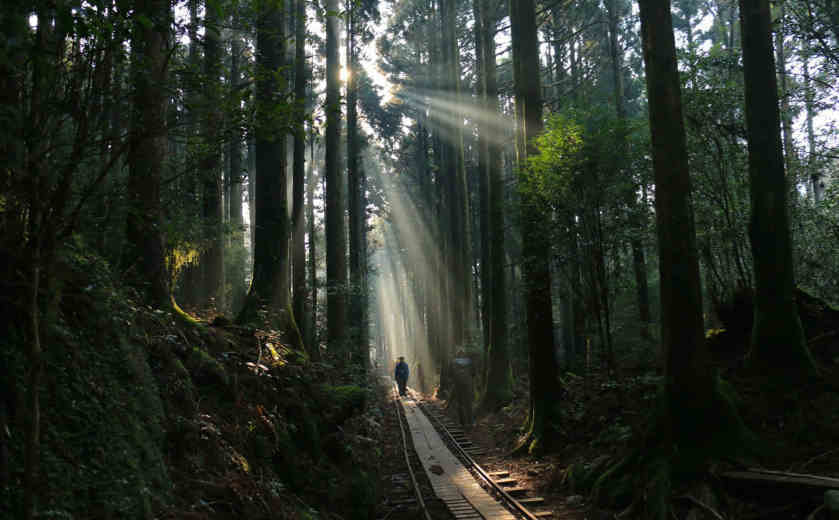 トロッコ道と光