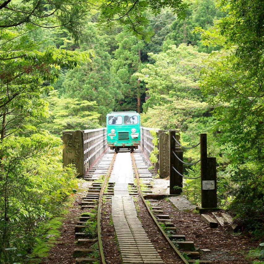 縄文杉日帰りガイドツアー3