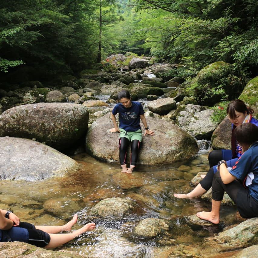 縄文杉日帰りガイドツアー8