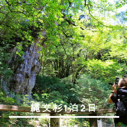 縄文杉1泊2日コース