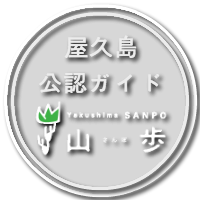 屋久島公認ガイド 屋久島山歩（SANPO）