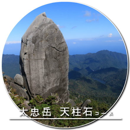 太忠岳 天柱石コース