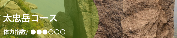 太忠岳 天柱石ガイドツアー