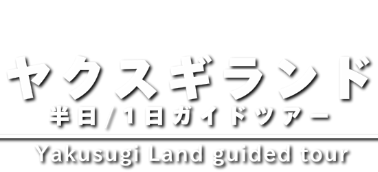 ヤクスギランド 1日、半日ガイドツアー