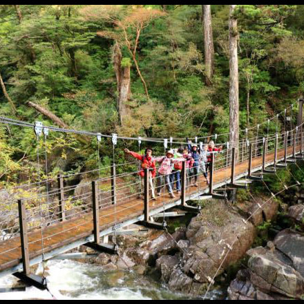 ヤクスギランドガイドツアー2