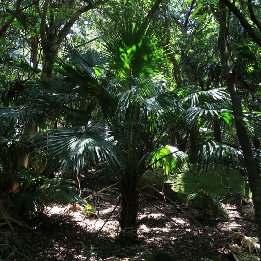 蛇之口の滝ガイドツアー2