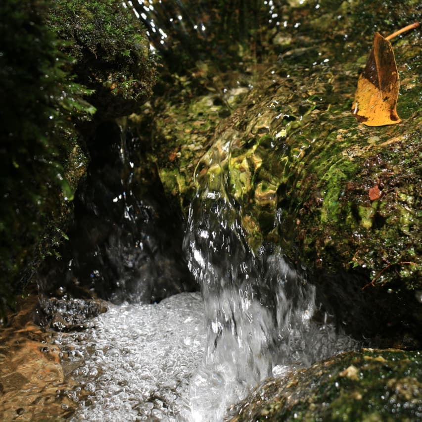 蛇之口の滝ガイドツアー7