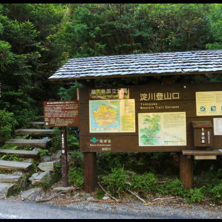 宮之浦岳ガイドツアー1