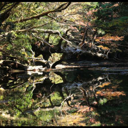 宮之浦岳ガイドツアー2