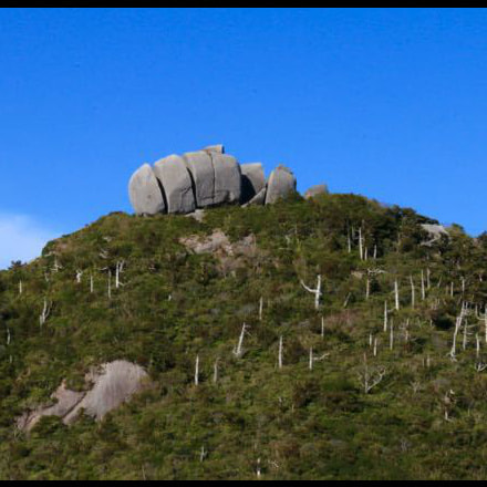 宮之浦岳ガイドツアー4