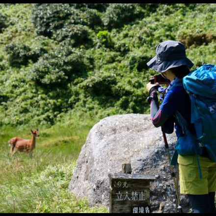 宮之浦岳ガイドツアー7