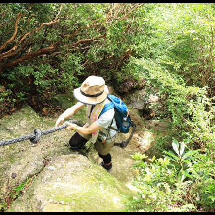 黒味岳日帰りガイドツアー5
