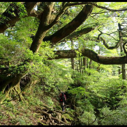 黒味岳日帰りガイドツアー3