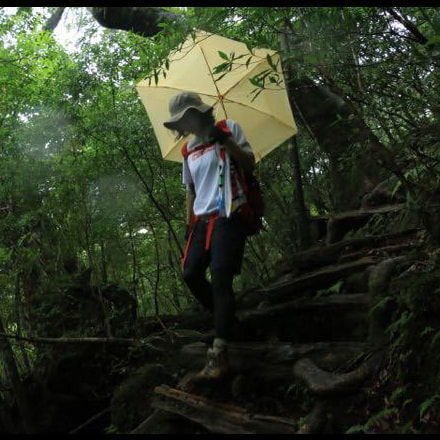 太忠岳天柱石ガイドツアー3