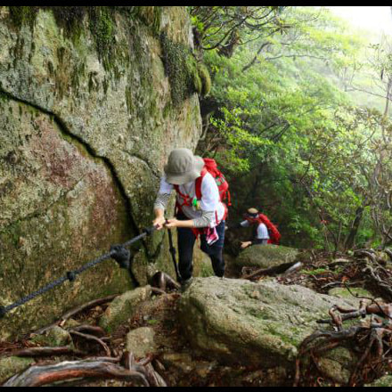 太忠岳天柱石ガイドツアー6