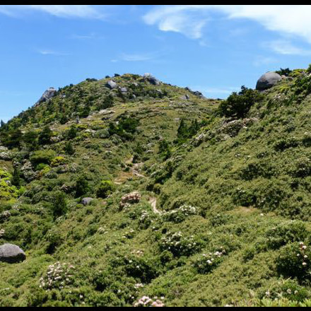 宮之浦岳 縦走ガイドツアー2