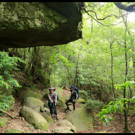 宮之浦岳 縦走ガイドツアー7