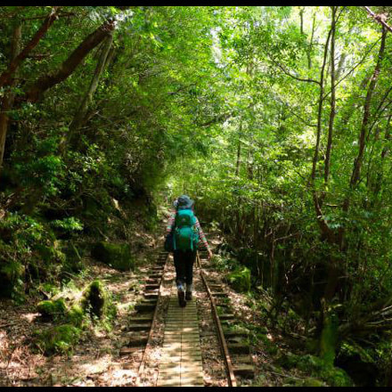 宮之浦岳 縦走ガイドツアー6