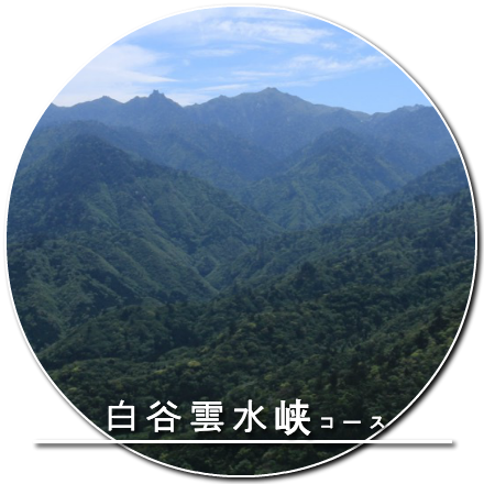 白谷雲水峡コース