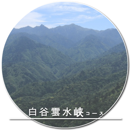 白谷雲水峡コース