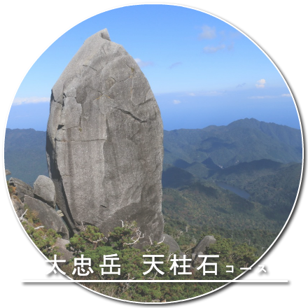 太忠岳 天柱石コース