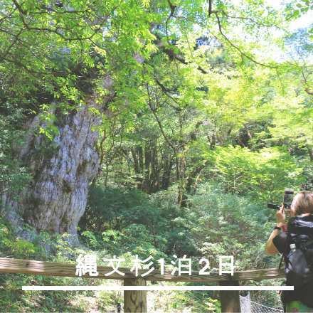 縄文杉1泊2日コース