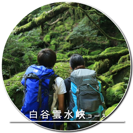 白谷雲水峡コース