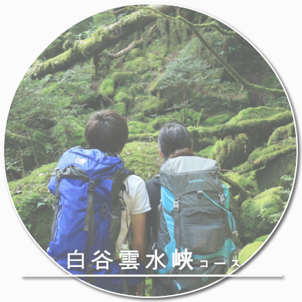 白谷雲水峡コース