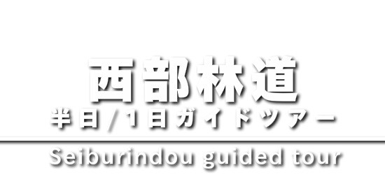 西部林道 半山半日、1日ガイドツアー