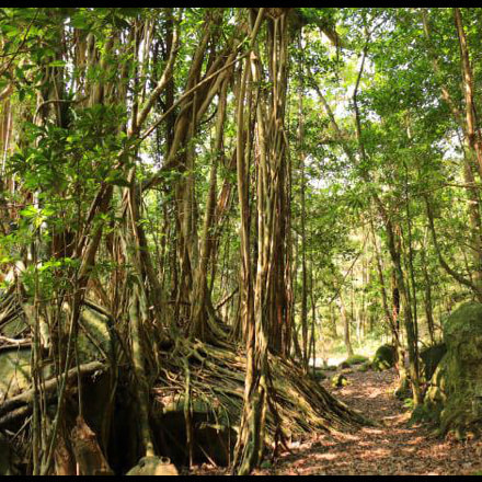 西部林道ガイドツアー1