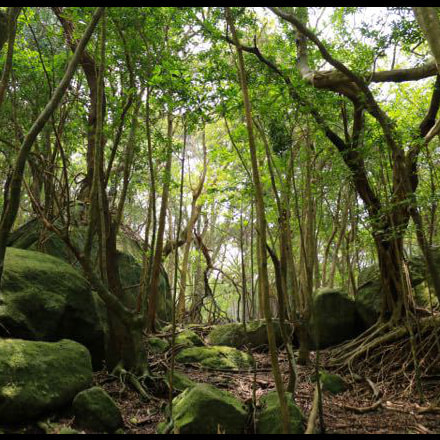 西部林道ガイドツアー2