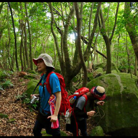 西部林道ガイドツアー7