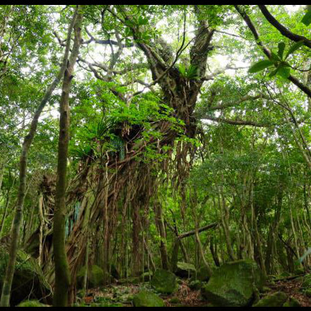 西部林道ガイドツアー8