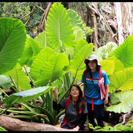 西部林道ガイドツアー3