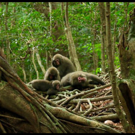 西部林道ガイドツアー6