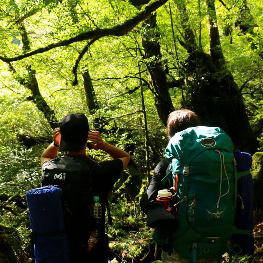 縄文杉1泊2日ガイドツアー1