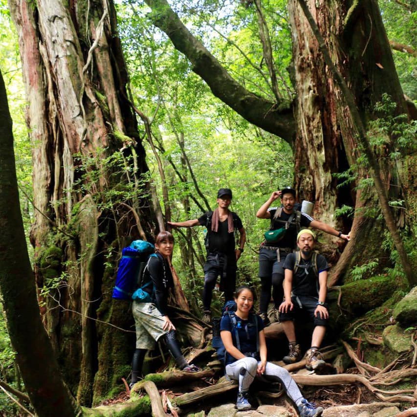 縄文杉1泊2日ガイドツアー3