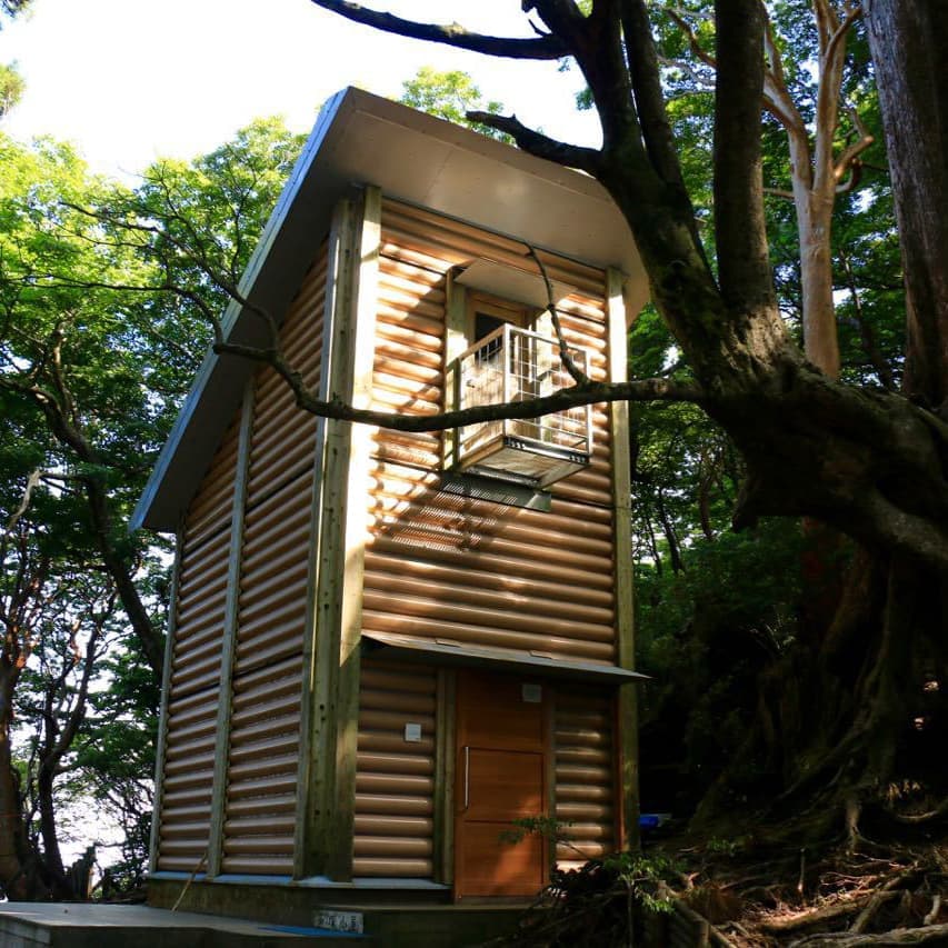 縄文杉1泊2日ガイドツアー5