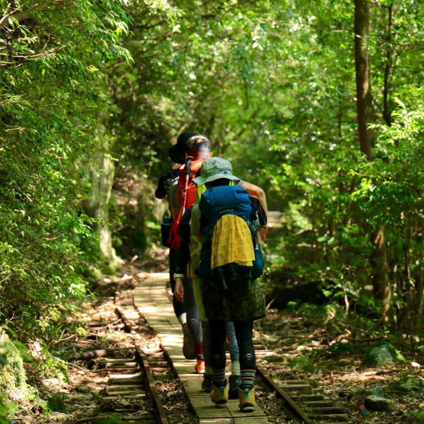 縄文杉1泊2日ガイドツアー8