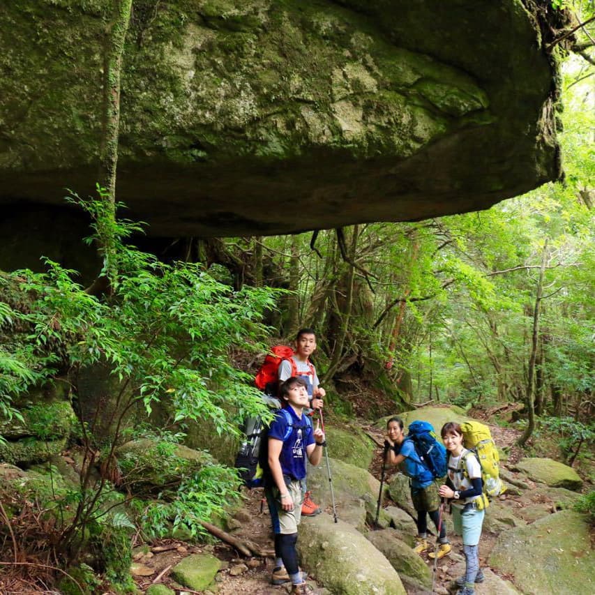 縄文杉1泊2日ガイドツアー2