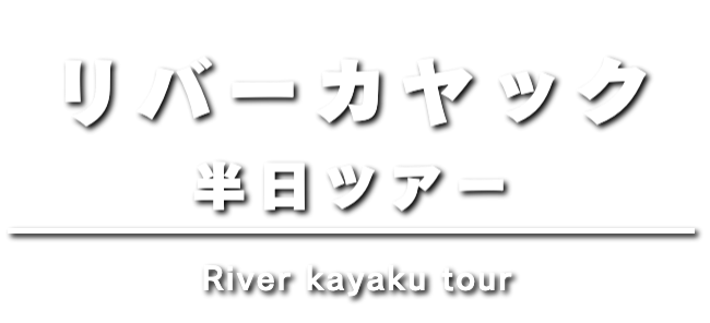 縄文杉 日帰りガイドツアー